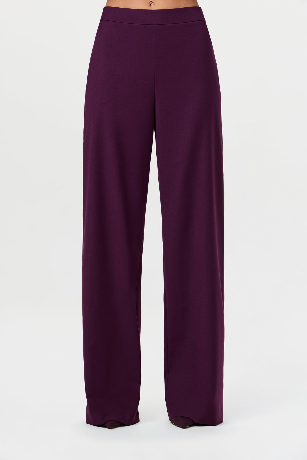 Suiting Wide-Leg Pant